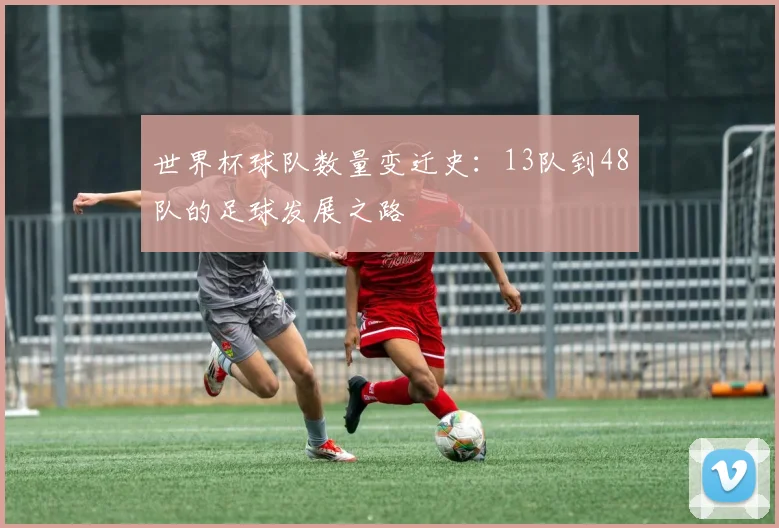 世界杯球队数量变迁史：13队到48队的足球发展之路