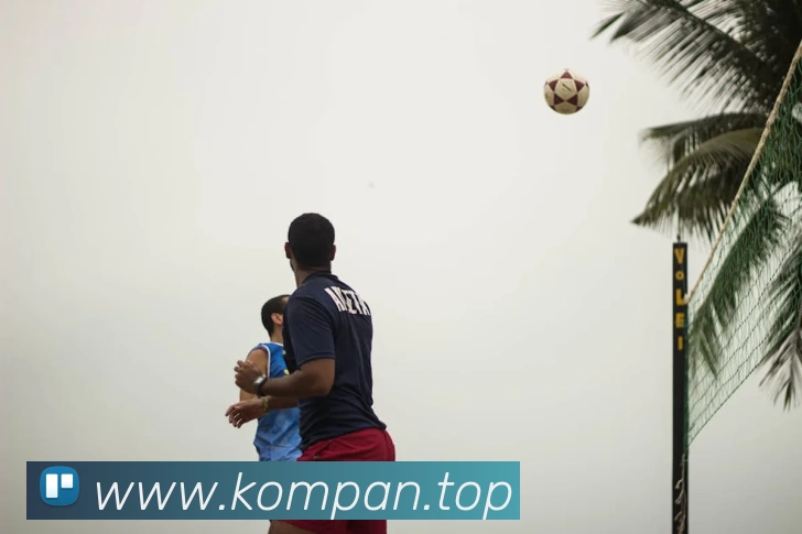 必一运动b官网平台生态图